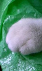 【お題日記】相手の局部が臭かった！その時どうする？