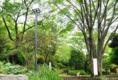 冬の彼方へーーー弥生の空3