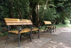 冬の彼方へーーー芽生え4