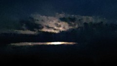 ウラっぽくないですが