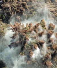 目がかゆ～い！