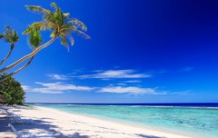 【お題日記】意外と楽しい一人●●