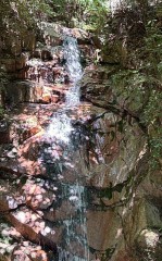 【お題日記】効果があったダイエット器具