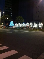 キレイだねぇ～(´ω`)