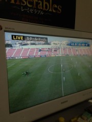 サッカー観戦(　ﾟдﾟ)