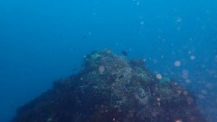 【お題日記】クルージングで行きたい場所