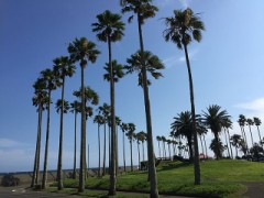 【お題日記】花火大会・お祭