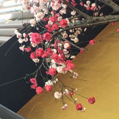 気分転換(´･ω･｀)