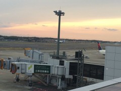 初めて見たときから…。