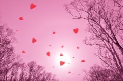 「彼（彼女）の何処が好きですか？」