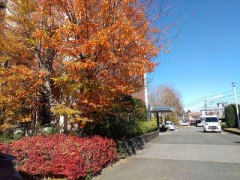 あなたの雑談力はどのくらい？