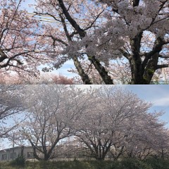 リベンジ成功!!