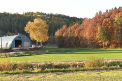 【お題日記】秋の行楽はどこに行った？