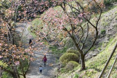 【お題日記】あなたのストレス解消法