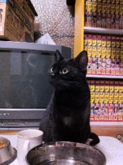 足の短いシンデレラオジサンより