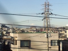 足の短いシンデレラオジサンより