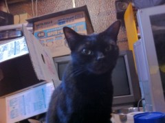 帰って来た！シンデレラオジサン