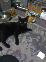 背中の模様は伊達じゃ無い！シンデレラオジサン