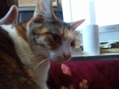 困った！シンデレラオジサン