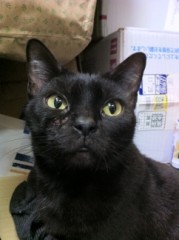 仕事中です！シンデレラオジサンです！