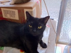 最後のシンデレラオジサン41