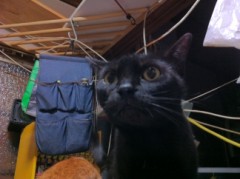 ＳＯに素敵な誕生日プレゼント？