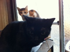 午前様だよ！オジサンは？