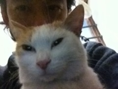 川口探検隊？シンデレラオジサン