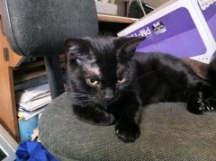 こジジコ？シンデレラオジサンれす？