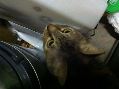 実家のキッチンからお早うございます！ＳＯ！