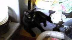 友達の家からこんにちは！シンデレラオジサンです