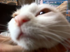 エイプリィル・フールをシンデレラオジサンに２