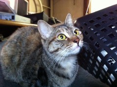 テヘッ！うっかり？シンデレラオジサン