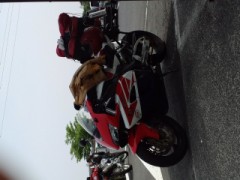 闇のシンデレラオジサンのもう一つの宝物！