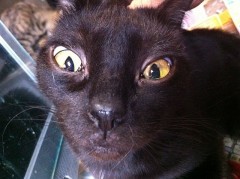 誰？シンデレラ？オジサン？