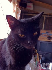 ３つの僕の１人？！闇シンデレラオジサン