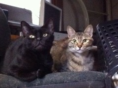 帰って来た？シンデレラオジサン