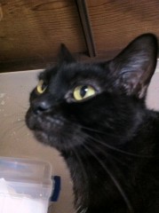 悲しみが雨の様...？シンデレラオジサン