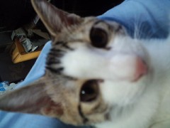 兎の次郎とシンデレラオジサン！