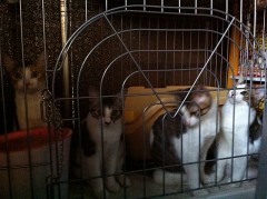 調子に乗り過ぎシンデレラオジサン？！