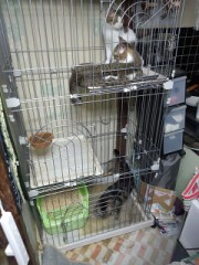 エヘヘッ⁈シンデレラオジサンX?