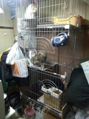 シンデレラオジサン超黒⁈