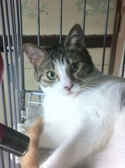 いつまでもめんこいハナちゃん⁈SO