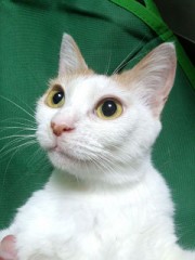 私のタル子さん！？