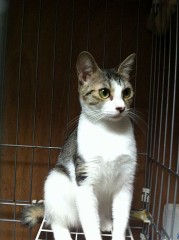 台風一過、今朝はハナちゃんです。