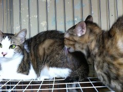 撮影失敗です…