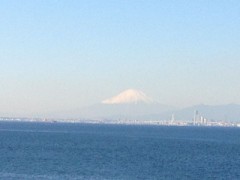 猫の写真が撮れません！