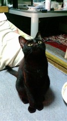 昔のジジ子さん️