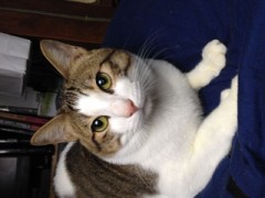 本日は、次郎ちゃんです！