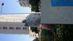 トトロ様に、お会い致しました…